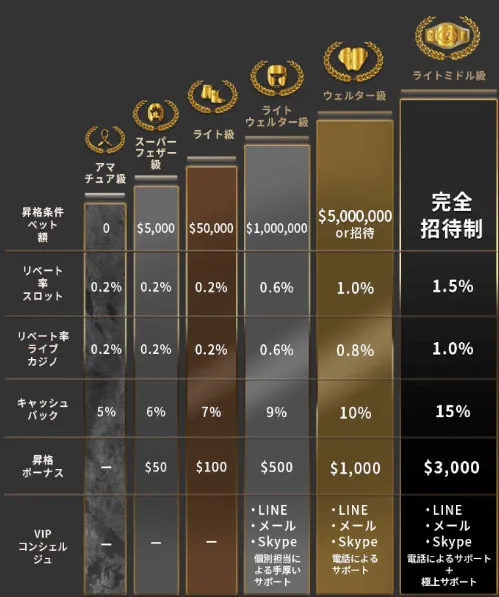 ベットランクの降格なしのVIPプログラム